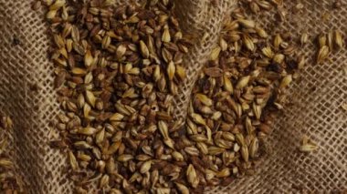 Arpa ve diğer bira pişirme maddeleri dönen çekim