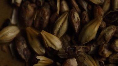 Arpa ve diğer bira pişirme maddeleri dönen çekim