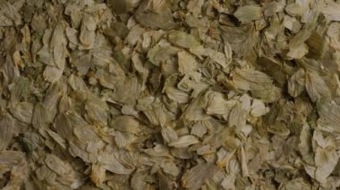 Arpa ve diğer bira pişirme maddeleri dönen çekim