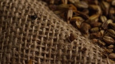Arpa ve diğer bira pişirme maddeleri dönen çekim