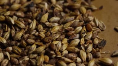 Arpa ve diğer bira pişirme maddeleri dönen çekim