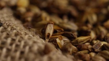 Arpa ve diğer bira pişirme maddeleri dönen çekim