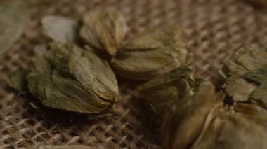 Arpa ve diğer bira pişirme maddeleri dönen çekim