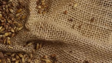 Arpa ve diğer bira pişirme maddeleri dönen çekim