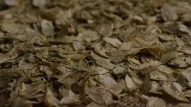 Arpa ve diğer bira pişirme maddeleri dönen çekim