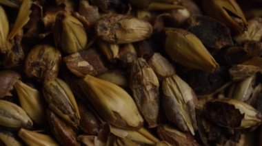 Arpa ve diğer bira pişirme maddeleri dönen çekim