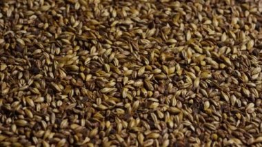 Arpa ve diğer bira pişirme maddeleri dönen çekim