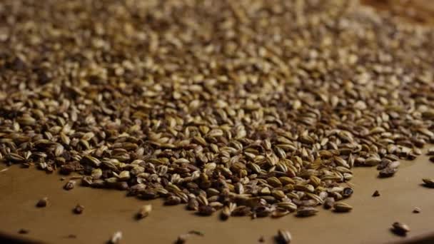 大麦や他のビール醸造原料の回転ショット — ストック動画