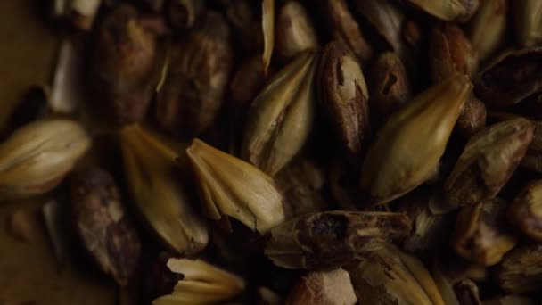 Rotating shot of barley and other beer brewing ingredients — Stock Video