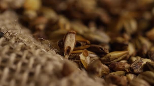 Вращающийся кадр ячменя и других ингредиентов пивоварения — стоковое видео