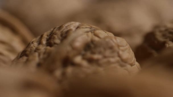 Вращающийся кадр грецких орехов в раковинах на белой поверхности — стоковое видео