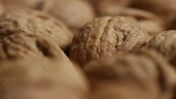 Rotating shot of walnuts in their shells on a white surface — Stock Video
