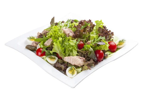 配鸡胸肉和蔬菜的沙拉在一个白色的盘子里 — 图库照片