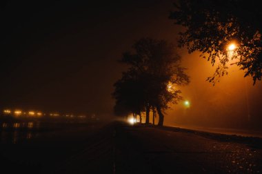 fotoğrafta sis gece cityscape