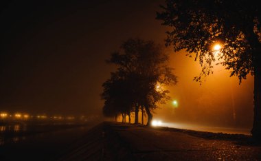 fotoğrafta sis gece cityscape