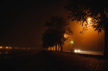 fotoğrafta sis gece cityscape