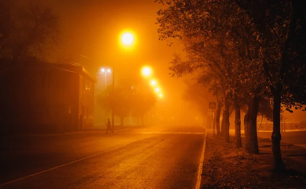 night cityscape in the fog in the photo