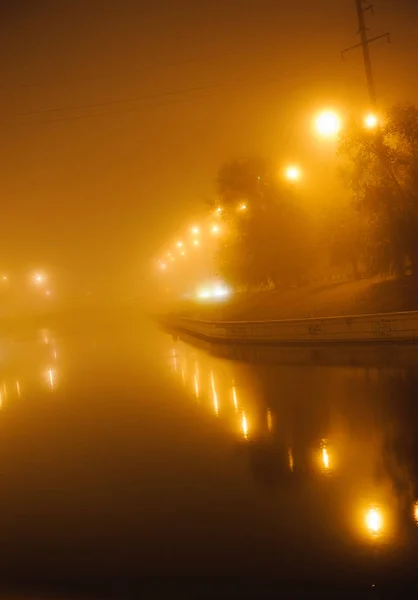 night cityscape in the fog in the photo