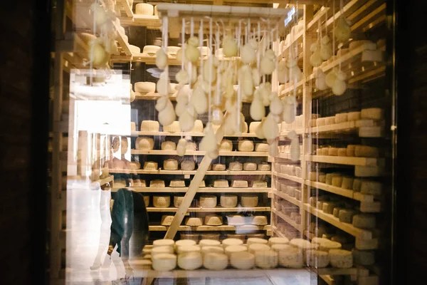 Heads of cheese lie on racks behind a glass showcase in a cheese factory. — Stock Photo, Image