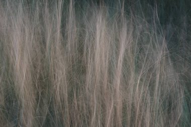 Gri arka plan üzerinde kaotik beyaz çizgiler