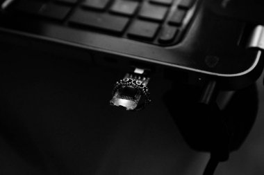 Düğün yüzükleri yakın çekim makro vurdu. Gelin ve damat halkaları