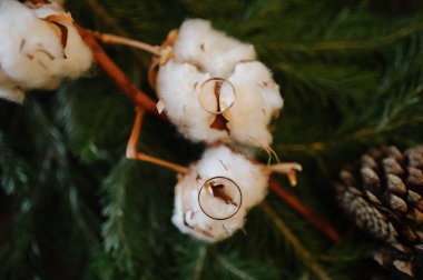 Alyans bir çiçek yakın yalan