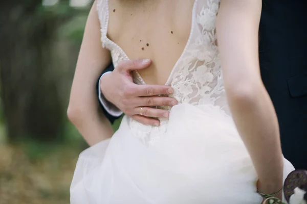 Takım elbiseli damat gelini gelinlikle kucaklıyor.