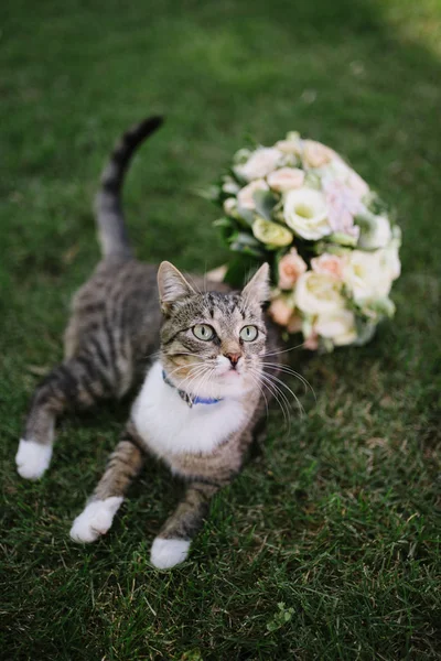 Kedi bir buket çiçekle çimenlerin üzerinde yatıyor.