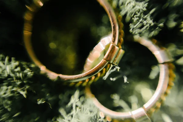 Anéis de casamento close-up macro shot. Anéis da noiva e do noivo — Fotografia de Stock