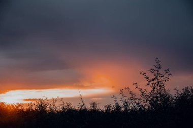 Mutlu yeni gün kavramı: bokeh ışık arka plan ile çarpıcı sarı çayır sonbahar gündoğumu