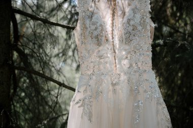 parkta bir ağaç üzerinde gelinlik.nedime elbise bir ağaç dalı üzerinde