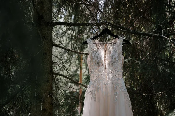 Vestido de novia en un árbol en el vestido park.bridesmaid en una rama de árbol —  Fotos de Stock