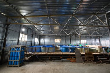 Sturgeon yetiştirmek için balık çiftliği. Mersin balığı beslemek ve yetiştirmek için havuz.