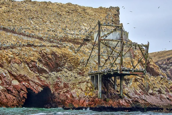 Isla Llena Aves Fauna Marina Con Una Estructura Acantilado Para — Foto de Stock