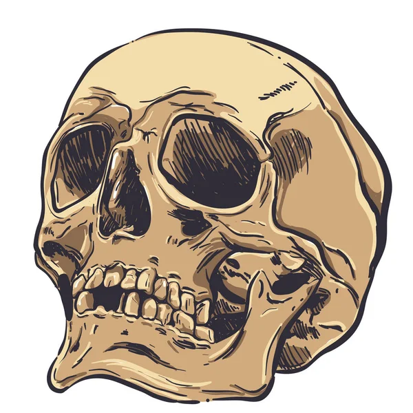 Crâne humain vecteur Art. Illustration dessinée main . — Image vectorielle