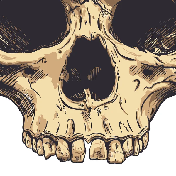 Calavera humana Vector Art. ilustración dibujada a mano . — Archivo Imágenes Vectoriales