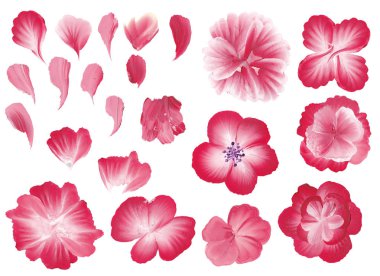 Çiçekler bir kontur stili resim arka plan ayarla..