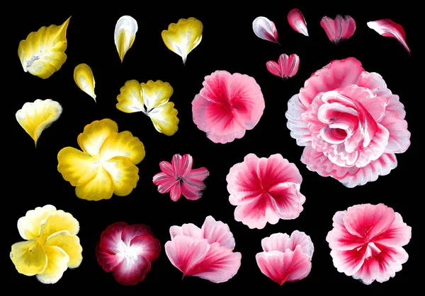 꽃 배경에 한 스트로크 스타일 그림 설정. — 스톡 사진