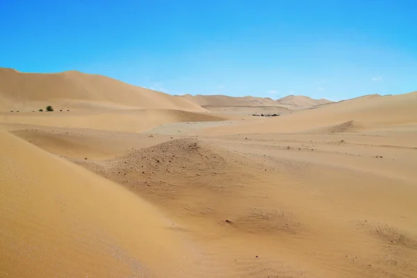 Belo Deserto Namib África — Fotografia de Stock