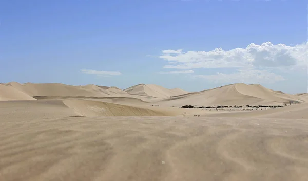 Duin Namib Woestijn — Stockfoto