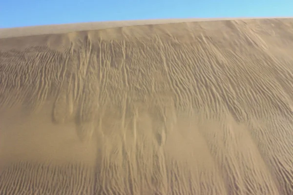 golden sand of african desert