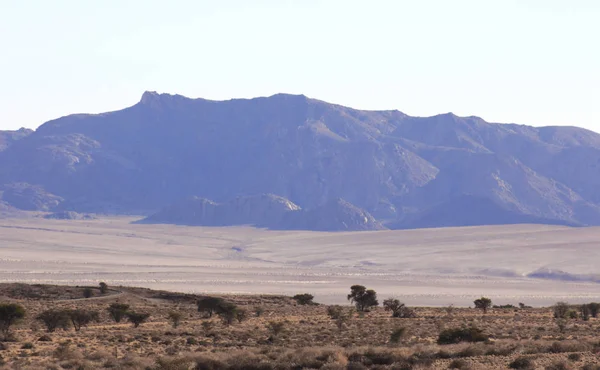 Les Conditions Difficiles Savane Chaude — Photo