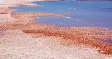 Namibya yaz güneşli bir günde Pembe Tuz Gölü 