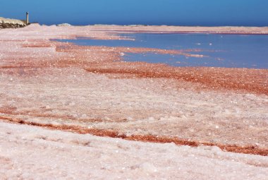Namibya yaz güneşli bir günde Pembe Tuz Gölü 