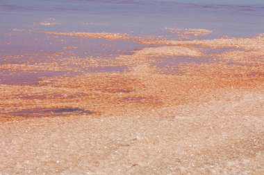 Namibya yaz güneşli bir günde Pembe Tuz Gölü 