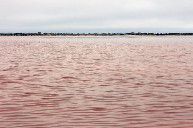 Güzel pembe tuz gölü ve Namibya dramatik gökyüzü, Afrika
