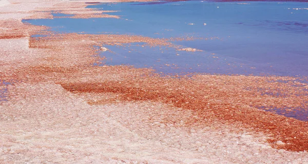 Pink Salt Lake Verão Dia Ensolarado Namíbia — Fotografia de Stock