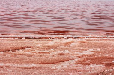 Güzel kırmızı su ve gölün tuzu 