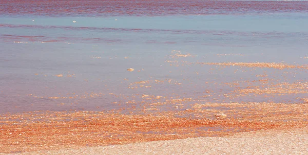 Mooi Rood Water Zout Van Het Meer — Stockfoto