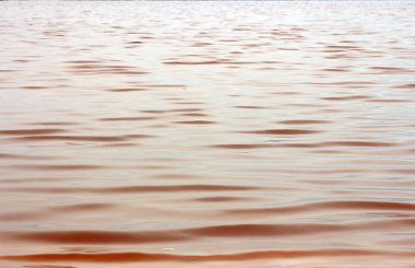 Güzel kırmızı su ve gölün tuzu. Namibya, Afrika 